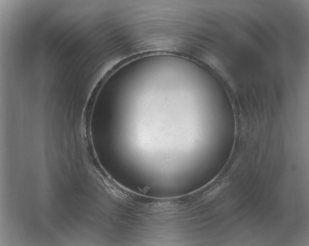 X0000062610883200512281501