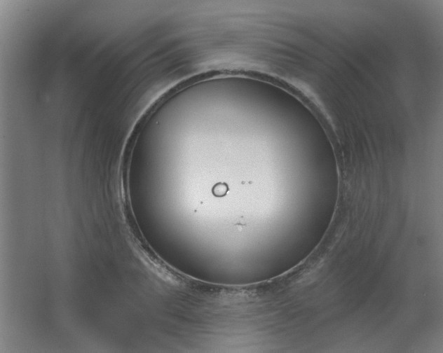 X0000062610887200512281500