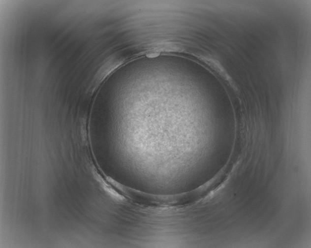 X0000062610889200512281500