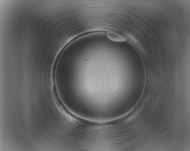 X0000062610892200512281500