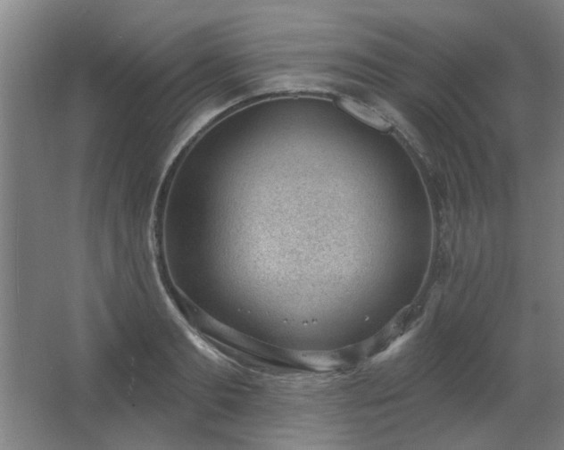 X0000062610893200512281500