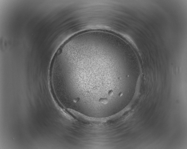 X0000062610895200512281500