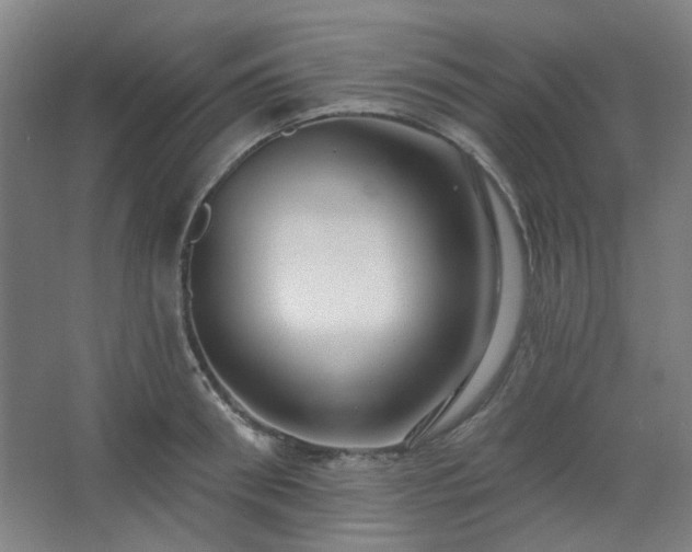 X0000062610898200512281500