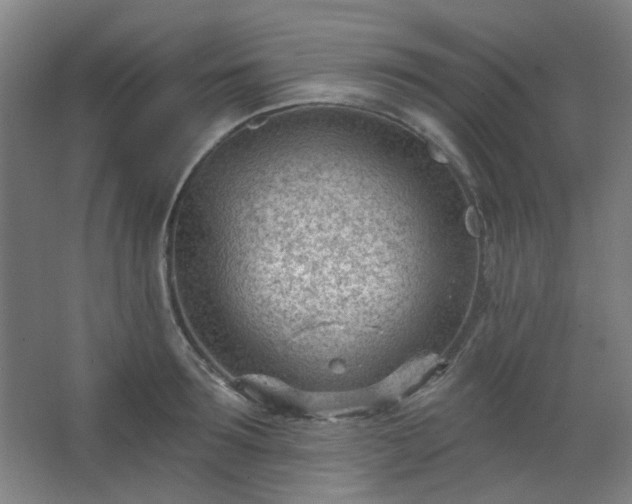 X0000062610899200512281500