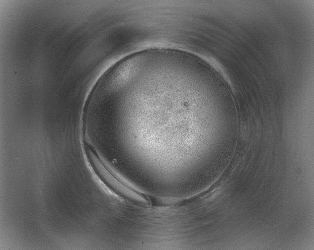 X0000062610903200512281500