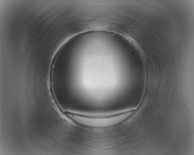 X0000062610904200512281500