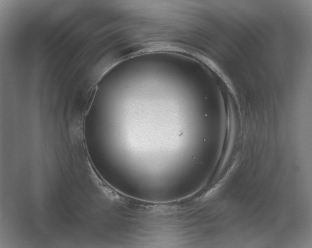 X0000062610905200512281500