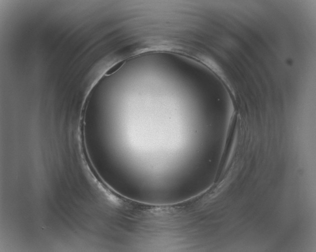 X0000062610906200512281500