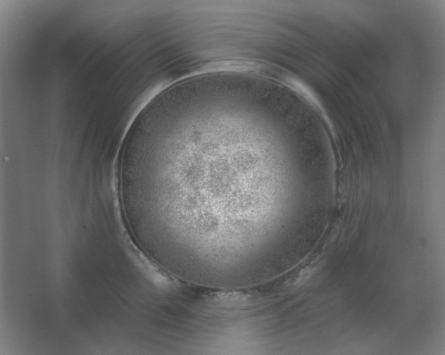 X0000062610907200512281500