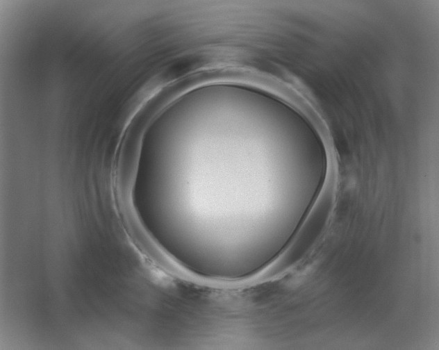 X0000062610909200512281500