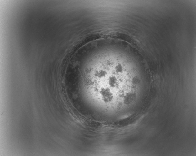 X0000062610913200512281459