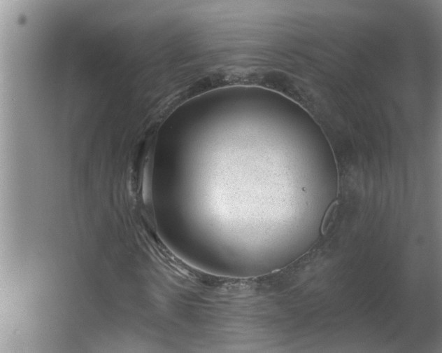 X0000062610914200512281459