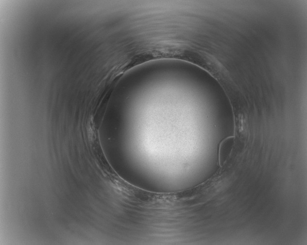 X0000062610915200512281459