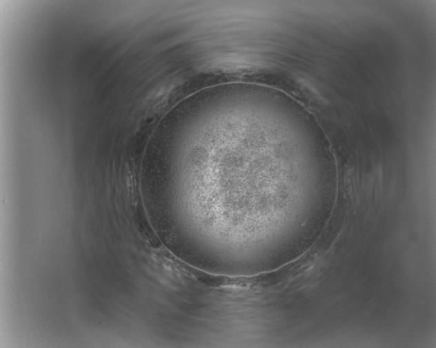 X0000062610917200512281459