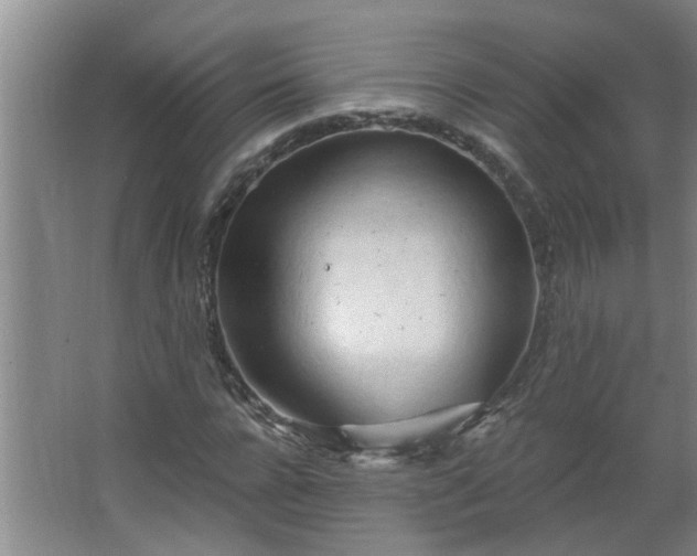 X0000062610920200512281459