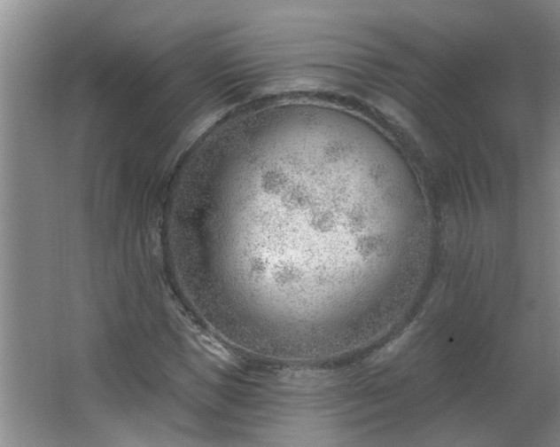 X0000062610921200512281459