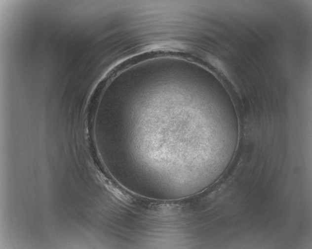 X0000062610923200512281459