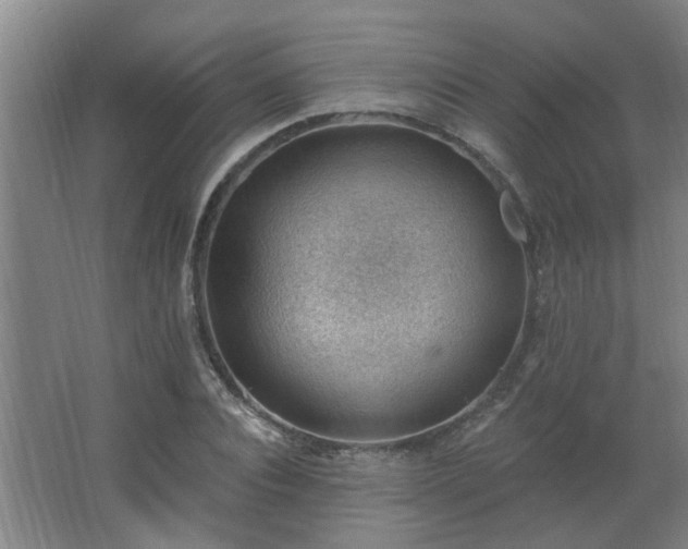 X0000062610928200512281459