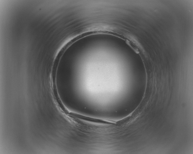 X0000062610936200512281500