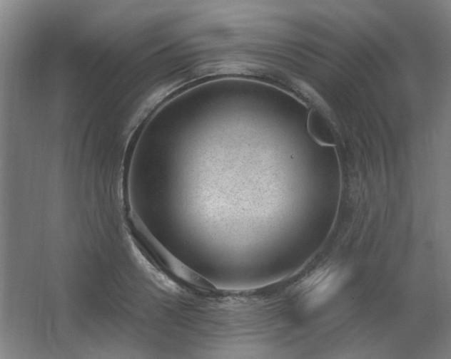 X0000062610938200512281500