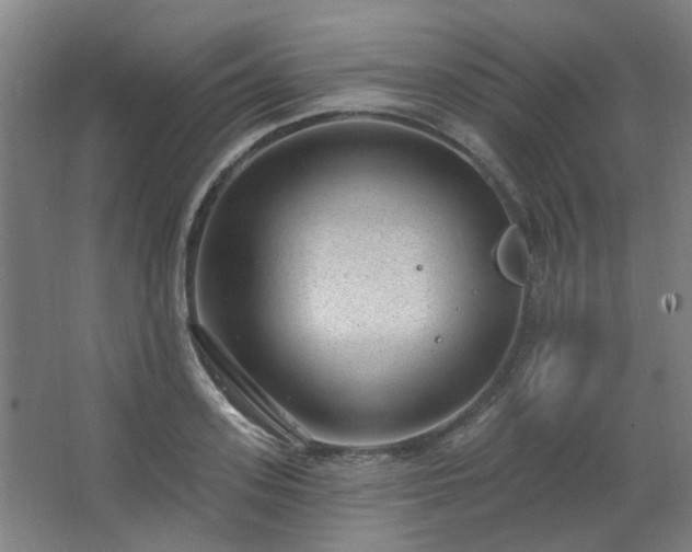 X0000062610939200512281500