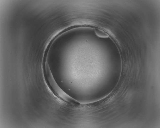 X0000062610943200512281500