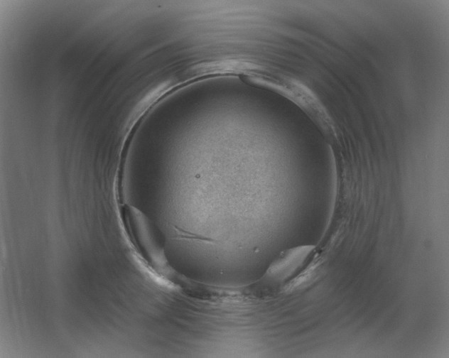 X0000062610946200512281500