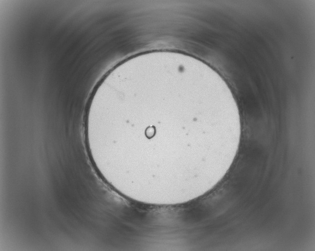 X0000062610950200512281500