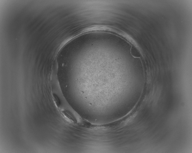 X0000062610953200512281500