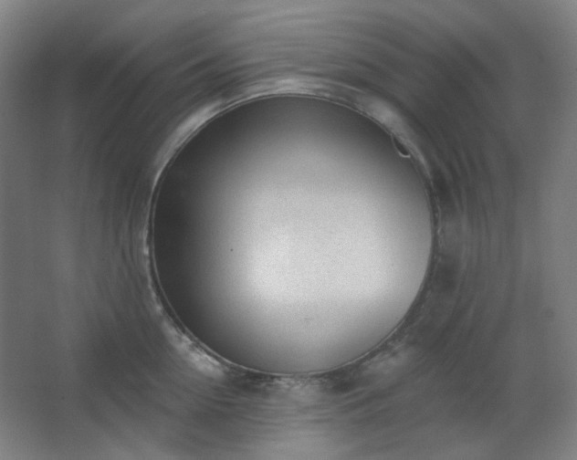 X0000062610954200512281500