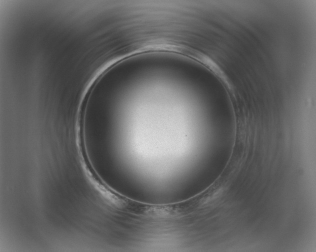 X0000062610955200512281500