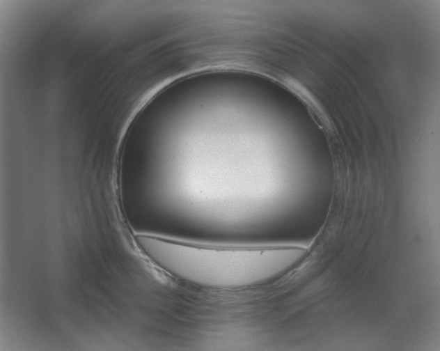 X0000062610956200512281500