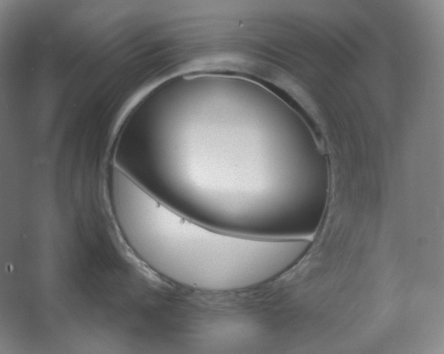 X0000062610960200512281500