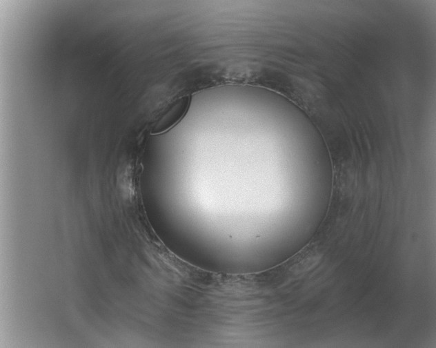 X0000062610962200512281459