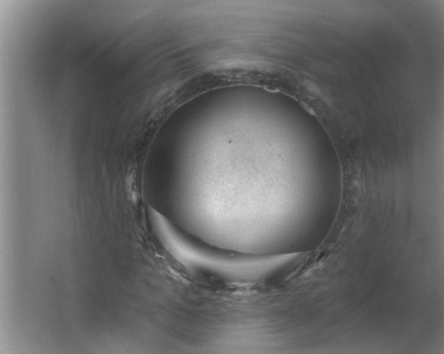 X0000062610965200512281459