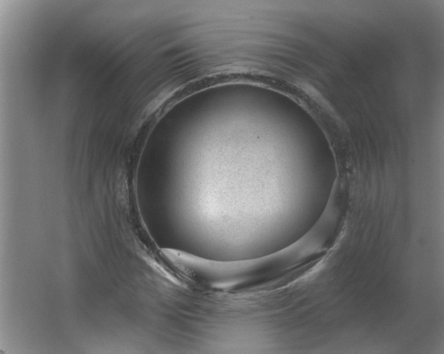 X0000062610969200512281459