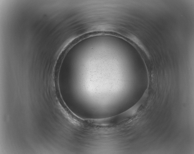 X0000062610972200512281459