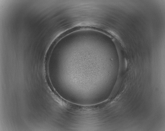 X0000062610976200512281459