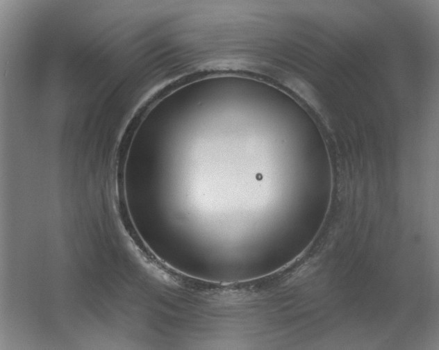 X0000062610984200512281459