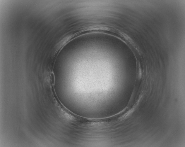 X0000062610985200512281459