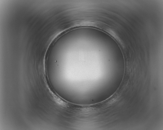 X0000062610988200512281459