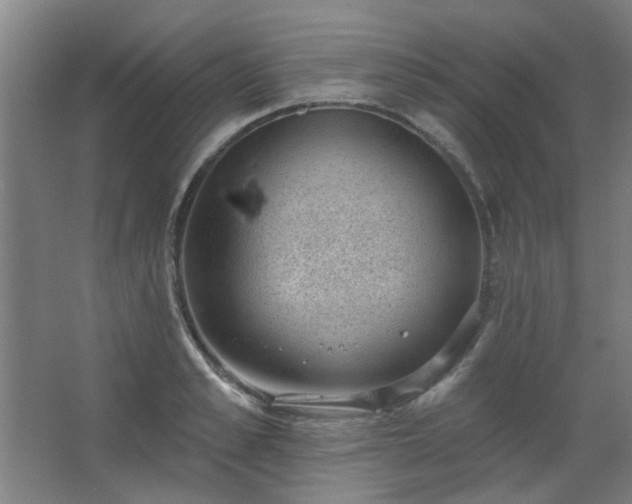 X0000062610989200512281459