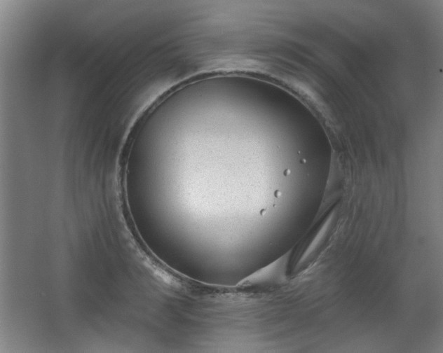 X0000062610990200512281459