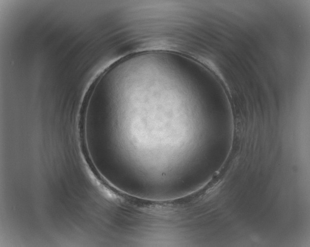 X0000062610995200512281459