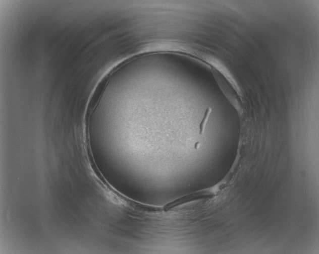 X0000062610996200512281459