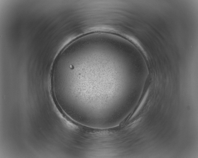 X0000062610999200512281459