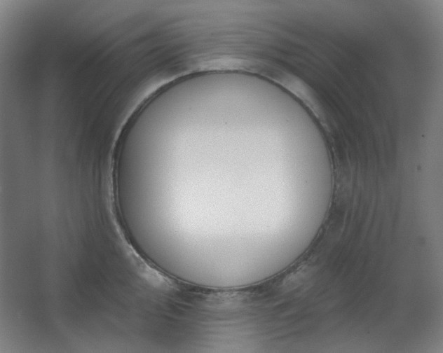 X0000062611000200512281459