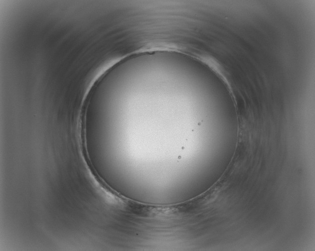 X0000062611003200512281459