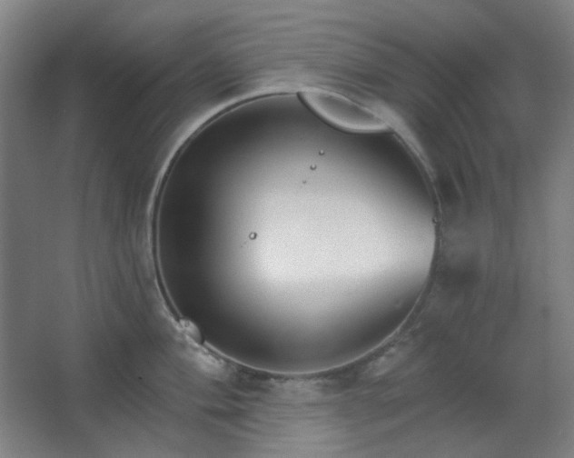 X0000062611004200512281458