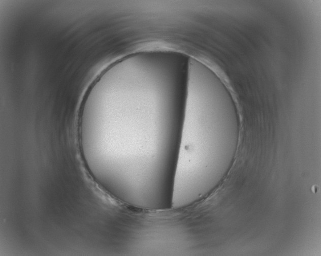 X0000062611008200512281458